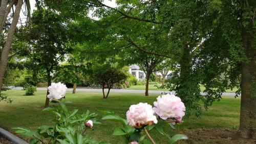 Villa Ohoka Country Retreat