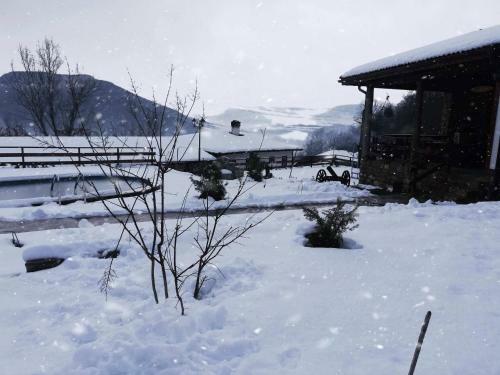 Guest House Hristova Kashta - ???????? ????