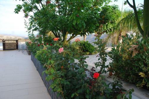 Kaminia Country Villas