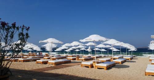 Garden Beach Apartment 28