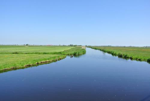 Skaap Amsterdam Waterland