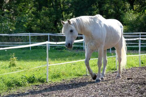 Chalupa Nov�k?v Dv?r
