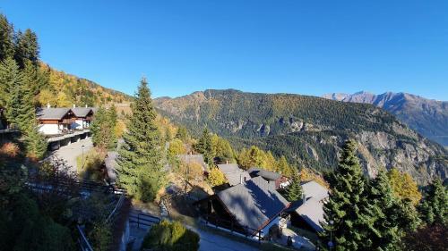 Chalet Baumfuchs Direkt An Der Talabfahrt Belalp