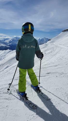 Chalet Baumfuchs Direkt An Der Talabfahrt Belalp