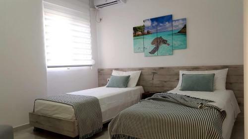 Apartamento Cirasola Home