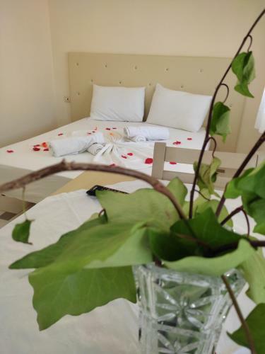 Apartments Classic Hera