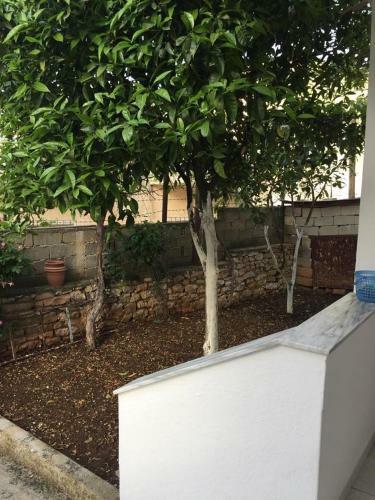 Private Holiday Home With Garden View Balcony
