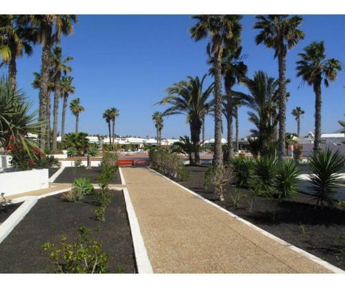 Apartamento Jardin Del Sol 12