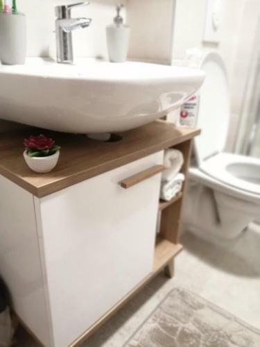 Apartman Pahulja