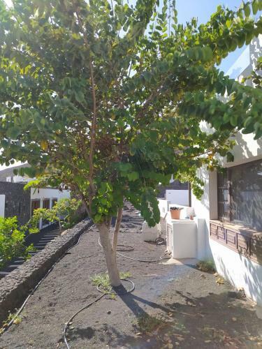Villa Under The Volcano In Playa Blanca