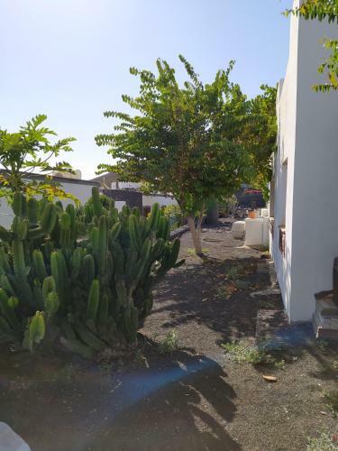 Villa Under The Volcano In Playa Blanca