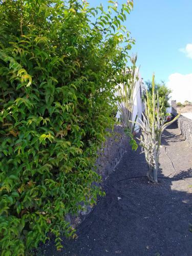 Villa Under The Volcano In Playa Blanca