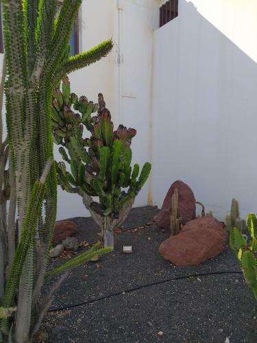 Villa Under The Volcano In Playa Blanca