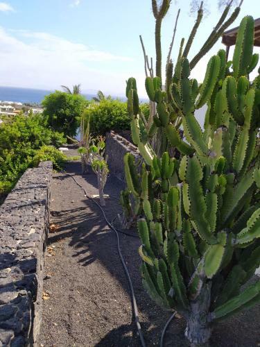 Villa Under The Volcano In Playa Blanca