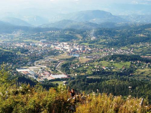 Villa Vila - Apartmani Golijanin