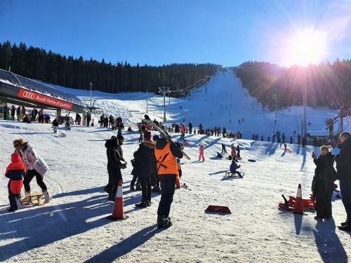 Villa Vila - Apartmani Golijanin