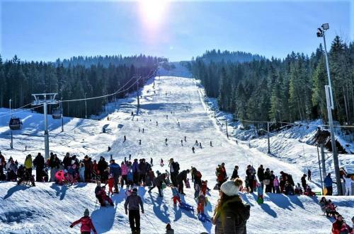 Villa Vila - Apartmani Golijanin