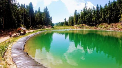 Villa Vila - Apartmani Golijanin