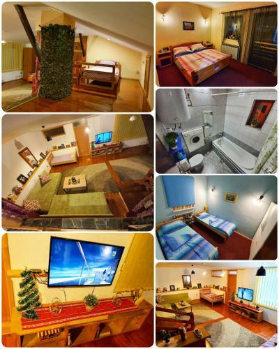 Villa Vila - Apartmani Golijanin
