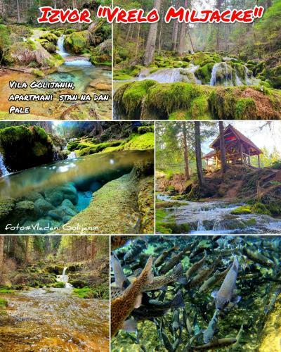 Villa Vila - Apartmani Golijanin