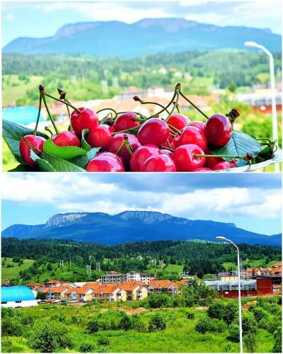 Villa Vila - Apartmani Golijanin