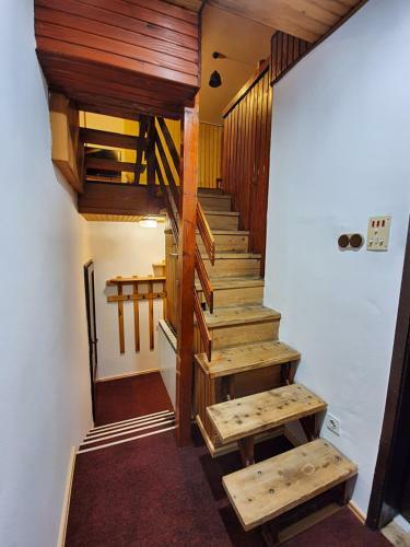 Villa Vila - Apartmani Golijanin