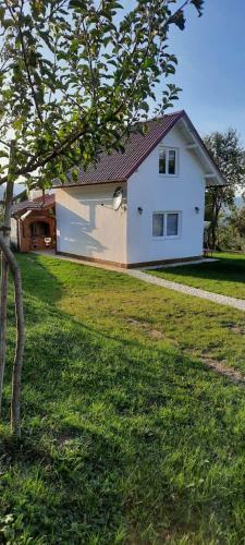 Deda Simina Vikendica