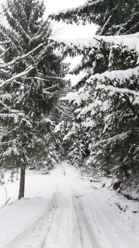 Ku?a Za Odmor Ravna Planina