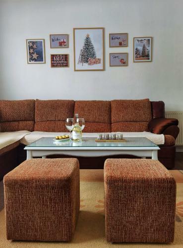 Pale City Center Apartment