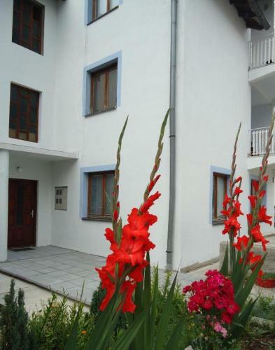 Apartman Obili?evo