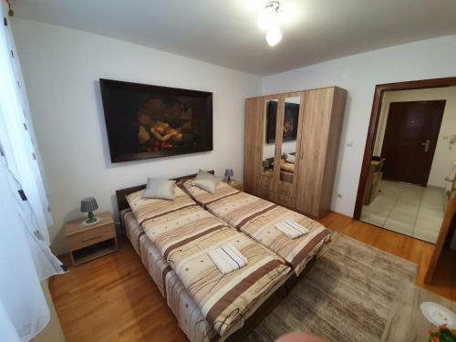 Apartments Sa?a