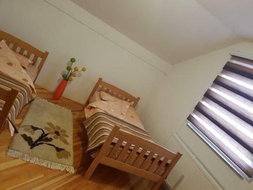 Apartman Jelena