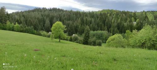 Inn Nature