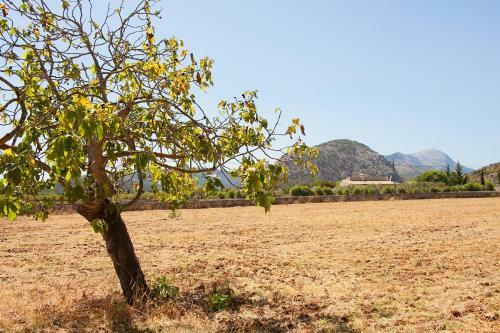 3 Bedroom Traditional Stone Villa, Private Pool, Near Pollensa