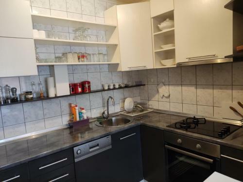 Villa Privatna Ku?a, Pale,