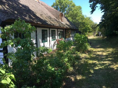 Cottage House
