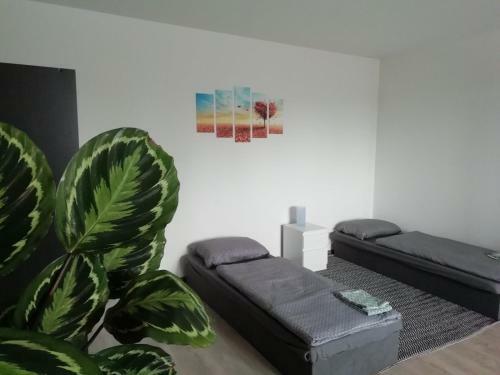 Apartm�ny Stdaniela