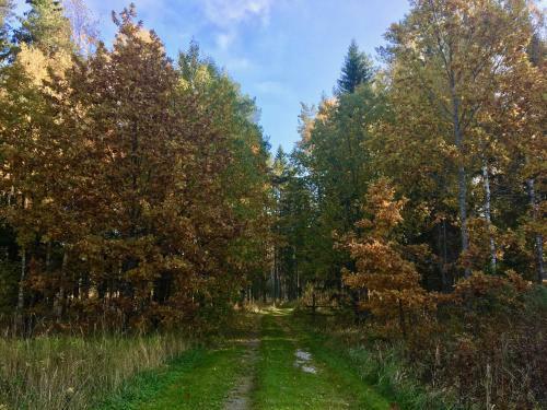 Agroturismo Ahja Puhkemaja