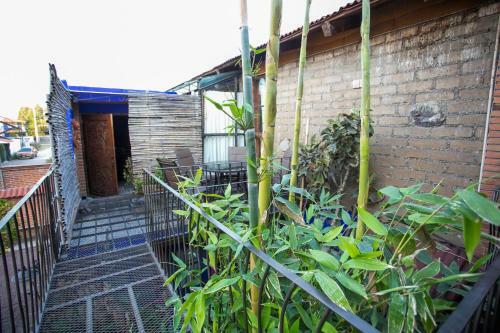 Apartamento Majikal B&B - Diego Rivera