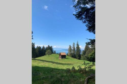 Apartamento Traumhafte Stadtwohnung Mit Blick Auf Den Bodensee