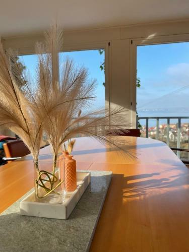 Villa Mit Traumhaftem Blick �ber Den Bodensee