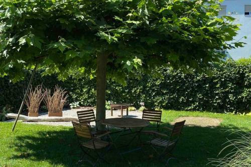 Apartamento Bregenzer Traum Am Bodensee Inkl Fahrr�der