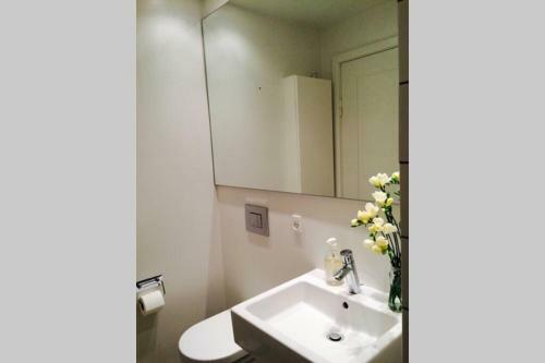 Studio Apartment In City Center