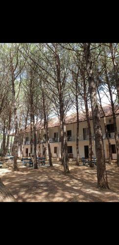 Apartamento Hotel Domeniko&juri