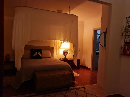 Unique Boho Villa Swimming Pool Lanzarote Es