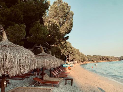 New! Villa Orquidea - Walking Distance To Pollen�a Village