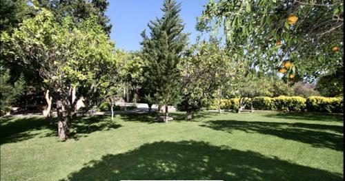 Villa Hort 3 Cames