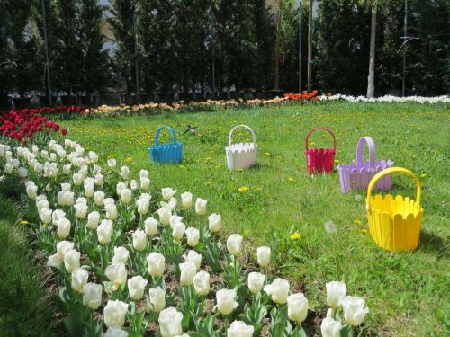 Albergue Rest Guest House