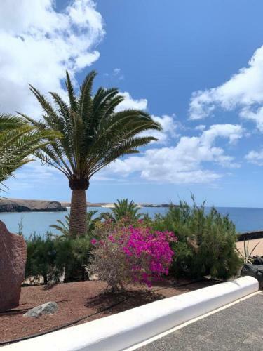 Apartamento Coloradas Villa Alba