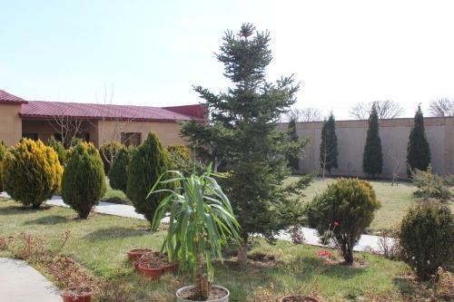 Luxury Villa With The Best Garden & Tours